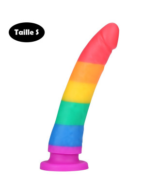 Gode ventouse multicouleur taille S 